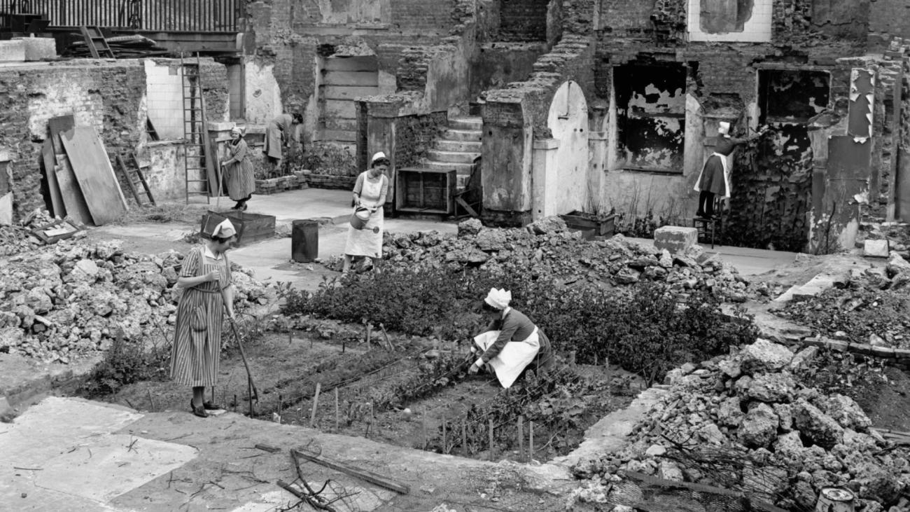 an archival photo of women tending a vegetable plot in a backyard
