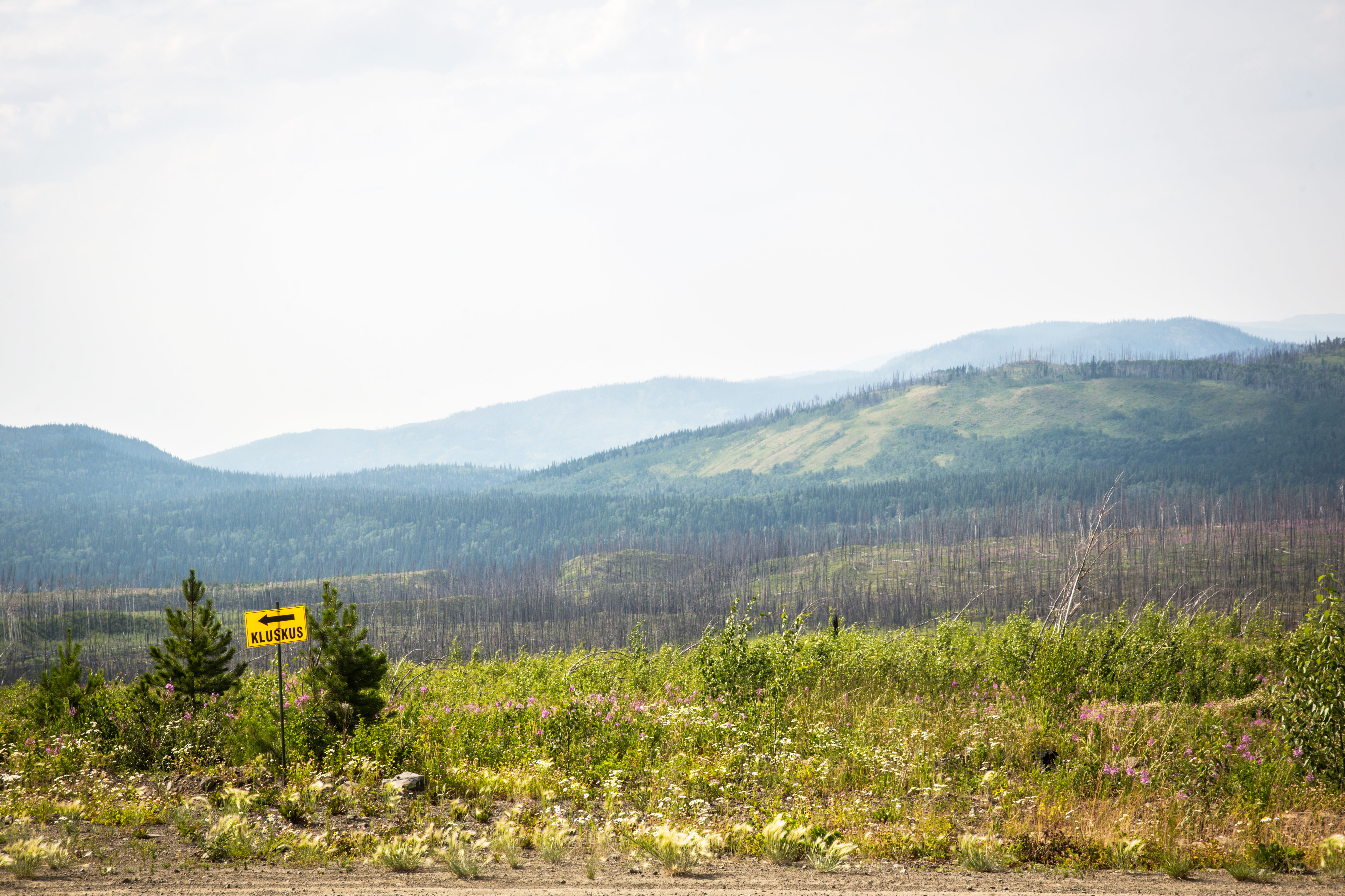 Shot of the landscape with a sign showing "Kluskus" and an arrow pointing left