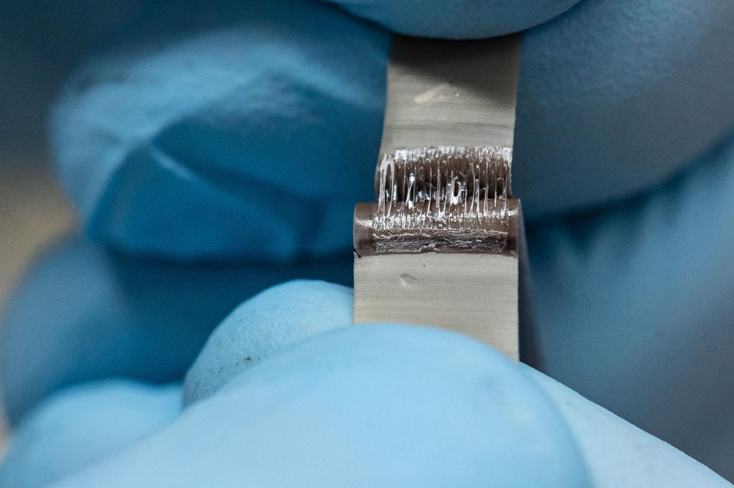 Close-up of fingers holding self-healing polymer