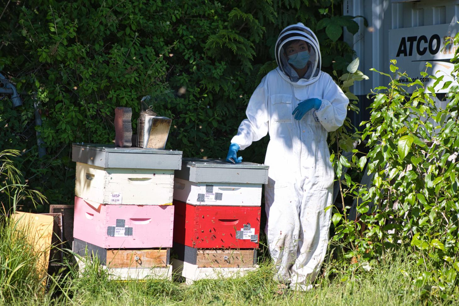 Dr. Alison McAfee stands in a bee suit beside a hive