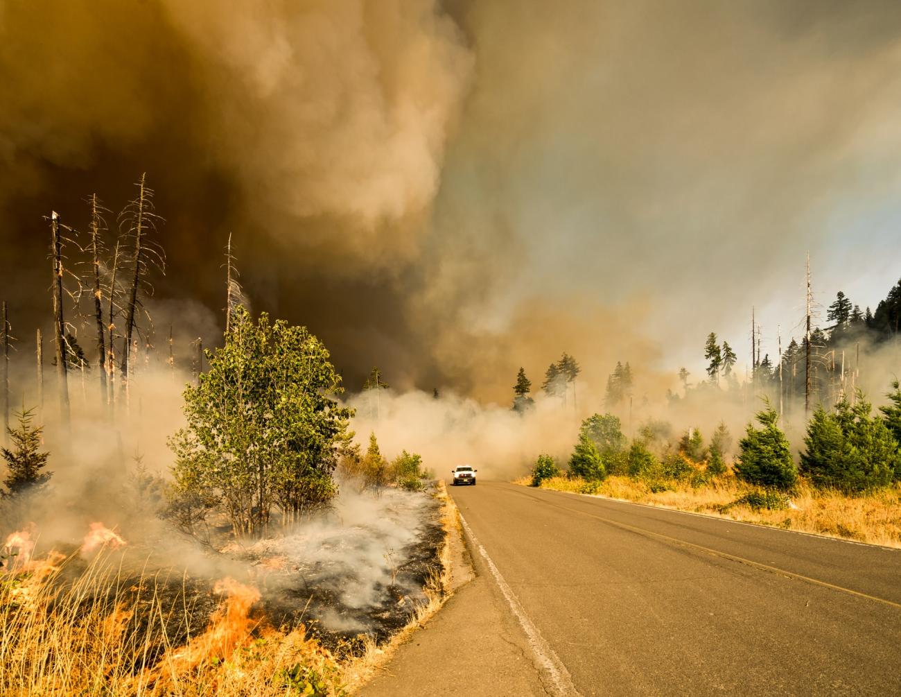 Vehicle drives along highway surrounded by smoke from forest fire