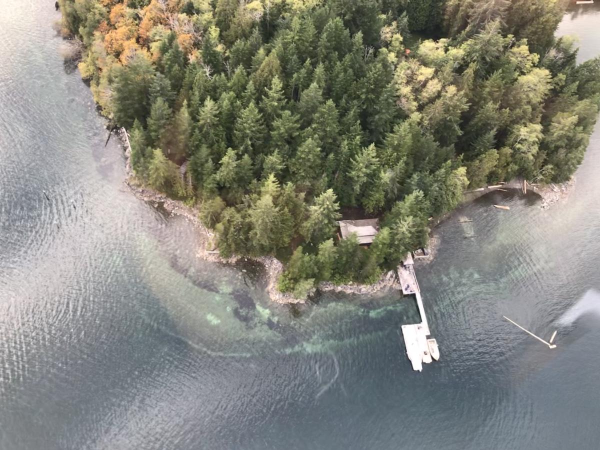 Aerial view of East Cracroft Island showing trees and surrounding water